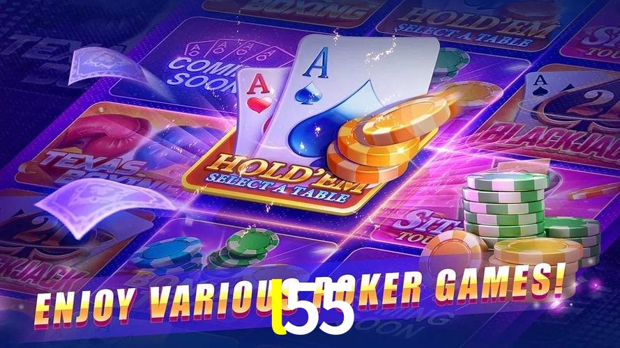 Login Seguro l55